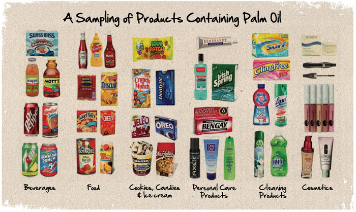 products containing palm oil