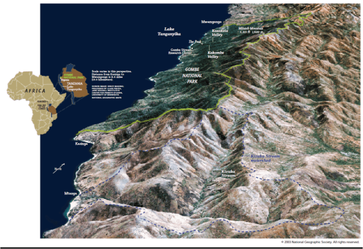 http-::news.janegoodall.org:wp-content:uploads:2015:09:Lilian-Webinar-Image-1