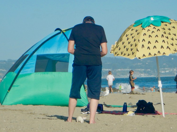 Do you see anything strange about this photo?