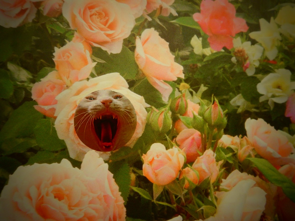 EWAP Update: Part&nbsp;II