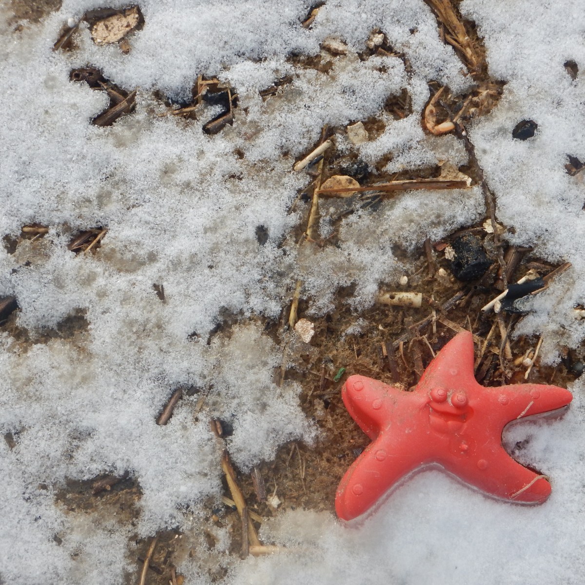 Towards Zero Waste Living Year&nbsp;3